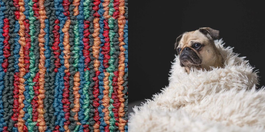 Wool vs. Synthetic Rugs: Which is Right for You? - RugSpot