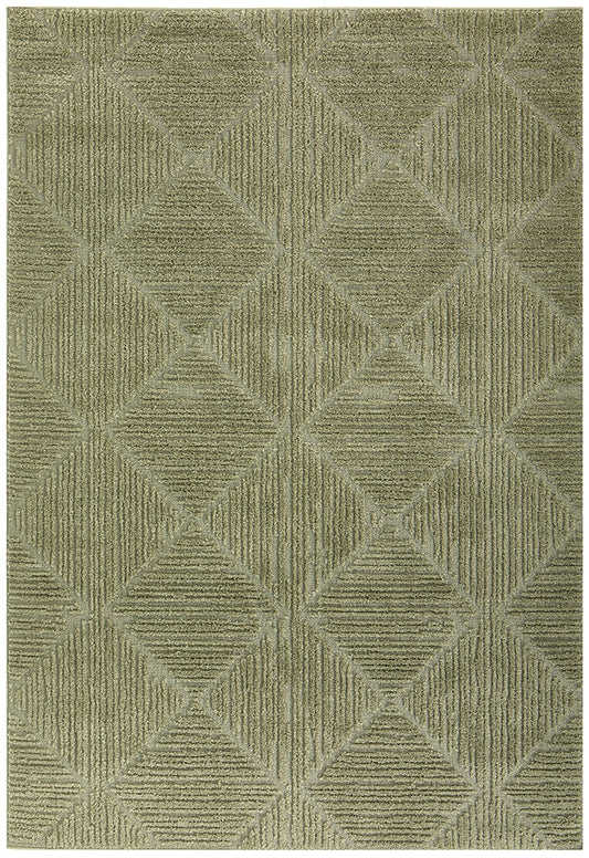 Envy Shilo Green Rug